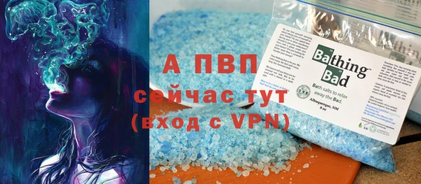 шишки Беломорск