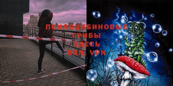 шишки Беломорск