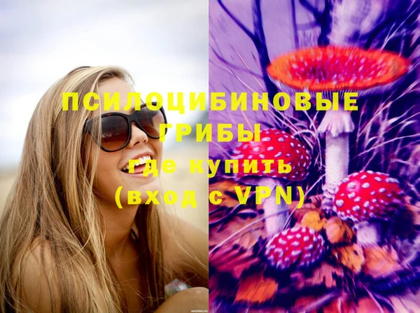 шишки Беломорск
