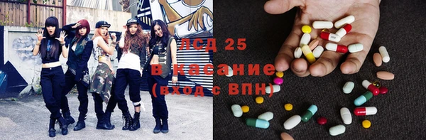 шишки Беломорск