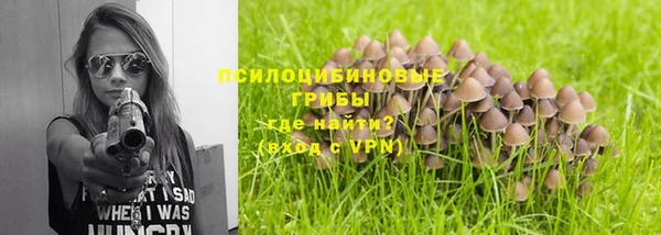 ешки Белоозёрский